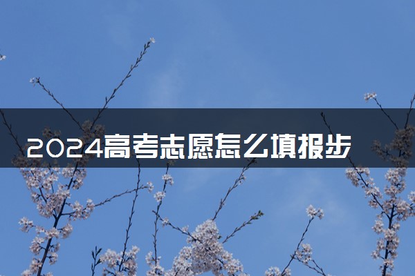 2024高考志愿怎么填报步骤 有哪些流程
