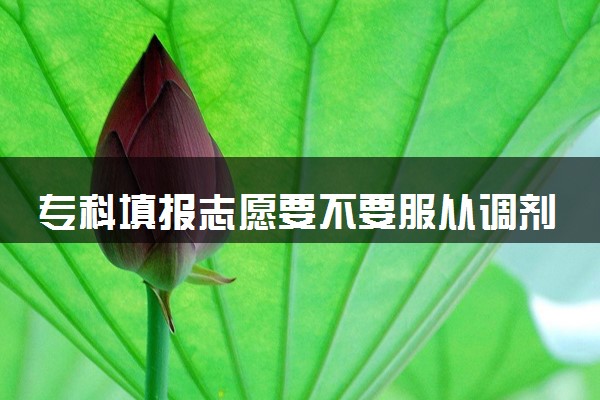 专科填报志愿要不要服从调剂 有什么好处和坏处