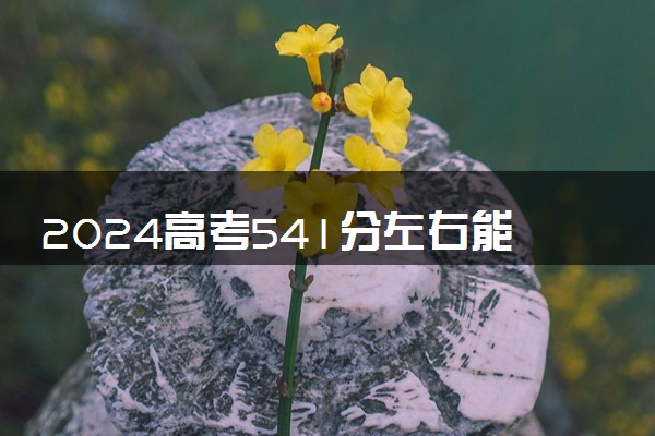 2024高考541分左右能上什么大学 可以报考的院校名单