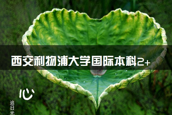 西交利物浦大学国际本科2+2好毕业吗？