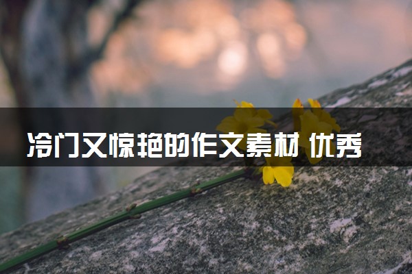 冷门又惊艳的作文素材 优秀句子段落积累