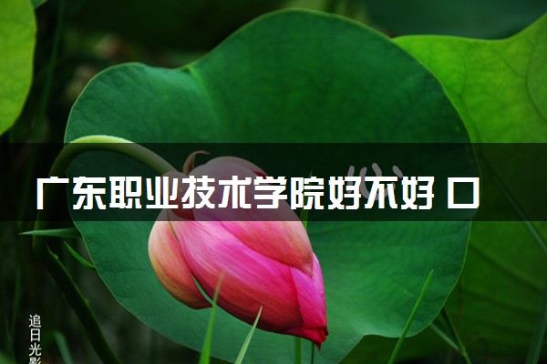 广东职业技术学院好不好 口碑怎么样