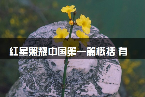 红星照耀中国第一篇概括 有哪些感悟