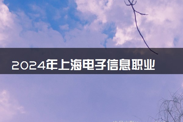 2024年上海电子信息职业技术学院艺术类专业有哪些
