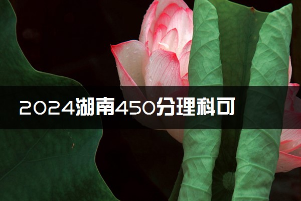 2024湖南450分理科可以报考哪些大学 什么院校好考