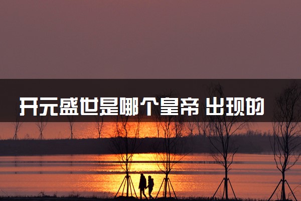 开元盛世是哪个皇帝 出现的表现是什么