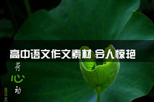 高中语文作文素材 令人惊艳的句子摘抄