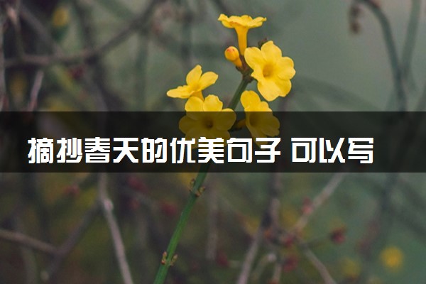 摘抄春天的优美句子 可以写进作文的句子精选
