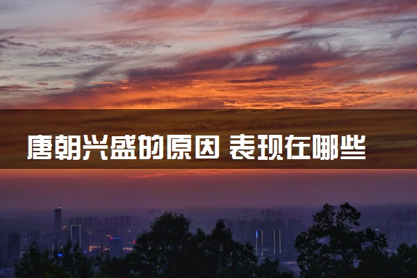 唐朝兴盛的原因 表现在哪些方面