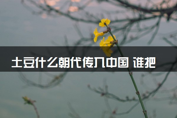 土豆什么朝代传入中国 谁把土豆带到了中国