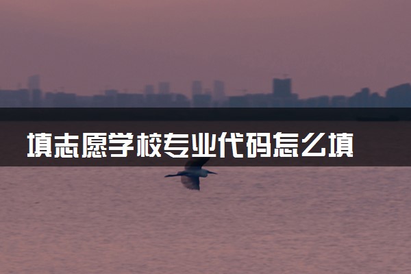 填志愿学校专业代码怎么填 如何查询专业代码