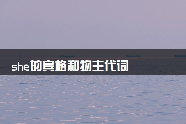 she的宾格和物主代词