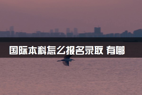 国际本科怎么报名录取 有哪些学校