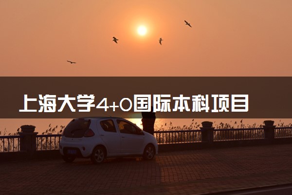 上海大学4+0国际本科项目怎么样？