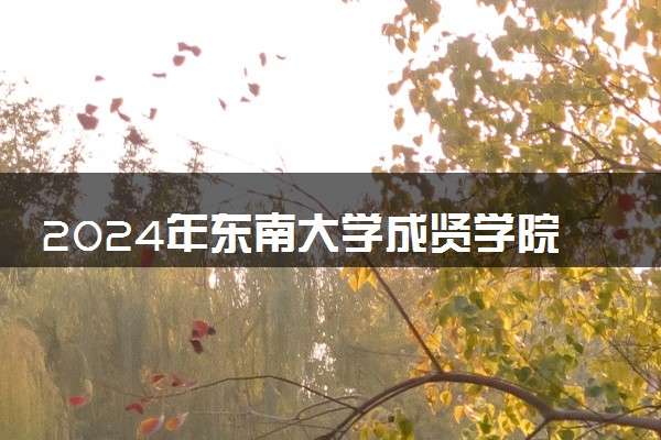 2024年东南大学成贤学院艺术类专业有哪些