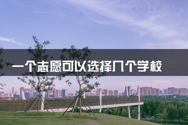 一个志愿可以选择几个学校 怎么填稳妥
