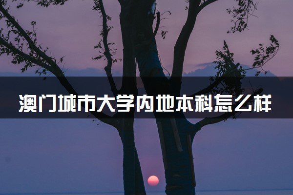 澳门城市大学内地本科怎么样 好不好