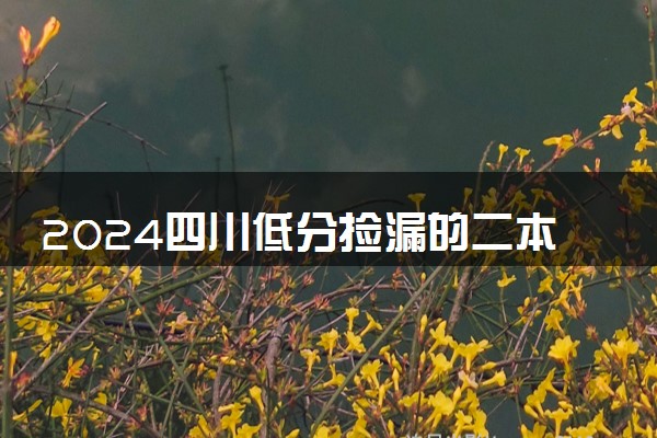 2024四川低分捡漏的二本公办大学 哪些比较好考