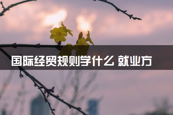 国际经贸规则学什么 就业方向有什么