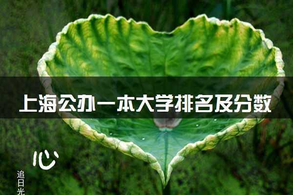 上海公办一本大学排名及分数线(2024年高考参考)
