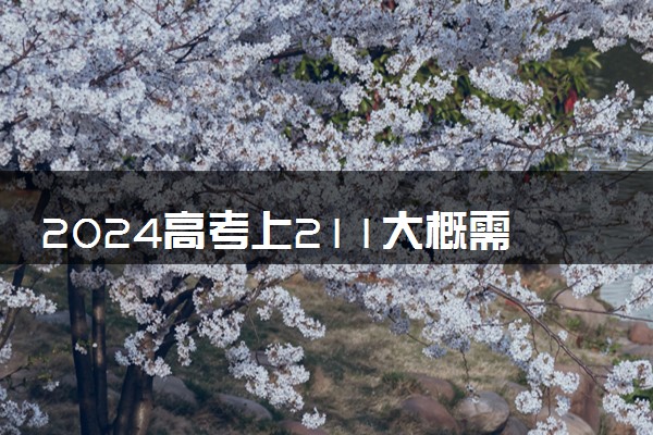 2024高考上211大概需要多少分 哪些适合捡漏