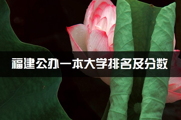 福建公办一本大学排名及分数线(2024年高考参考)