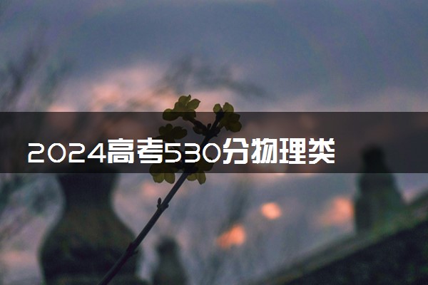 2024高考530分物理类能报哪些大学 530分左右院校名单