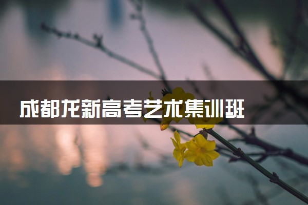 成都龙新高考艺术集训班