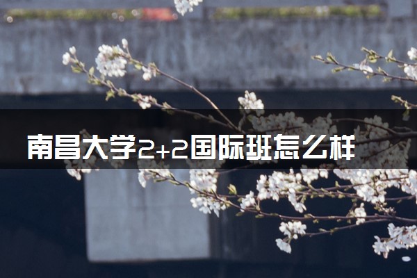 南昌大学2+2国际班怎么样