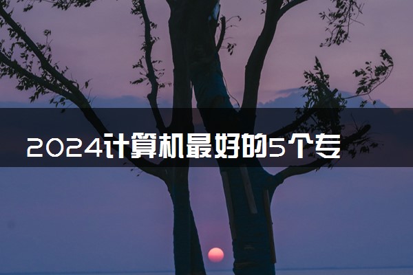 2024计算机最好的5个专业 什么专业热门吃香