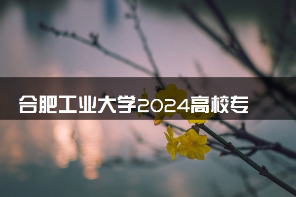 合肥工业大学2024高校专项振兴计划报名时间 几号截止