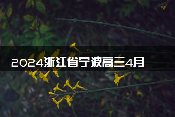 2024浙江省宁波高三4月二模(舟山)各科试题及答案汇总