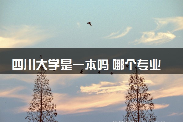 四川大学是一本吗 哪个专业前景好
