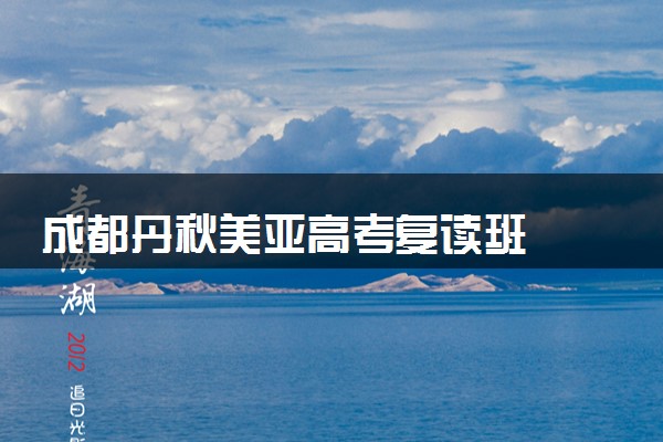 成都丹秋美亚高考复读班