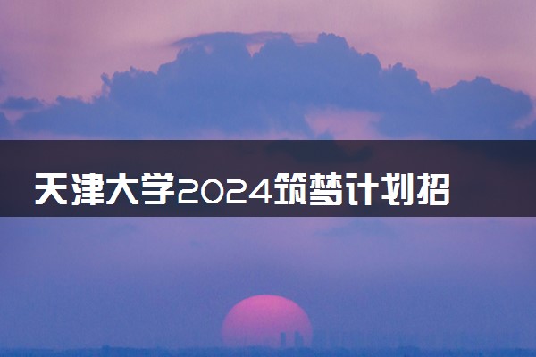天津大学2024筑梦计划招生简章 招生专业及计划
