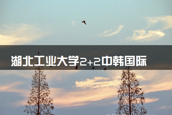 湖北工业大学2+2中韩国际班学费多少
