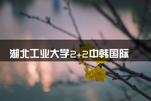 湖北工业大学2+2中韩国际班靠谱吗？