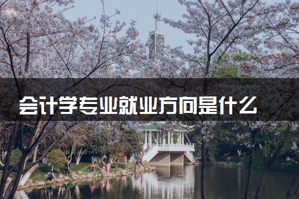会计学专业就业方向是什么 有哪些前景