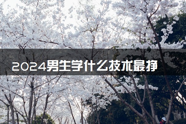 2024男生学什么技术最挣钱 有哪些绝佳选择