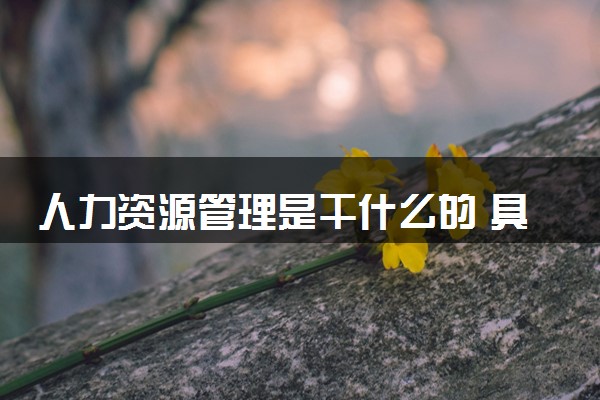人力资源管理是干什么的 具体做什么工作