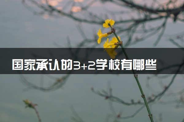 国家承认的3+2学校有哪些 什么学校值得报