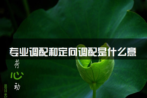 专业调配和定向调配是什么意思 有什么不同之处