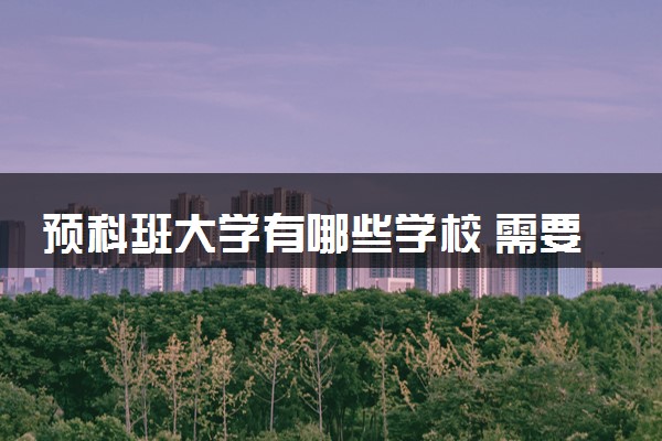 预科班大学有哪些学校 需要什么条件