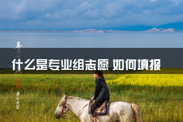 什么是专业组志愿 如何填报