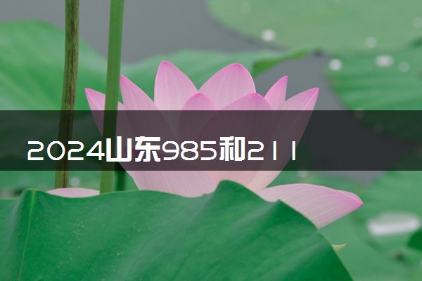 2024山东985和211大学名单及全国排名多少位