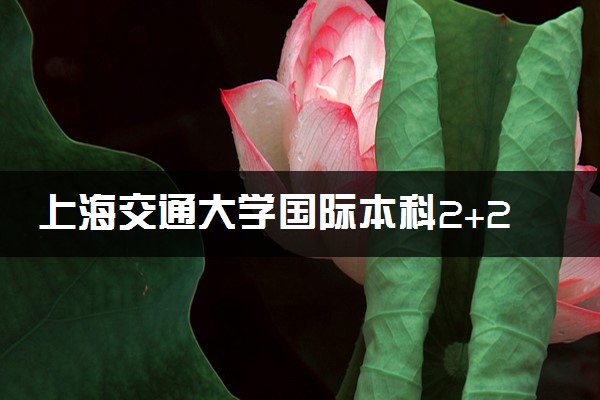 上海交通大学国际本科2+2申请条件