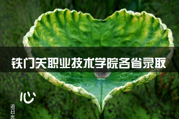 铁门关职业技术学院各省录取分数线是多少 投档最低分及位次(2024年高考参考)