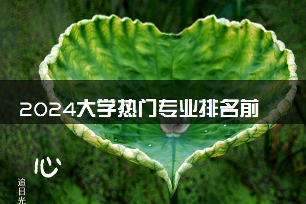 2024大学热门专业排名前十名 就业前景好的专业推荐