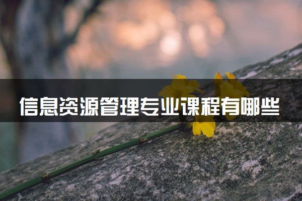 信息资源管理专业课程有哪些 专业前景怎么样