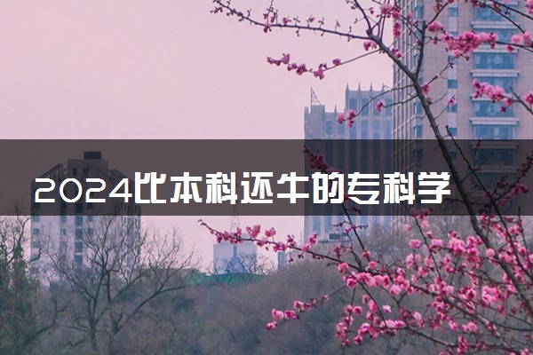 2024比本科还牛的专科学校 什么学校值得报